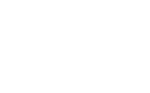 Насекомые